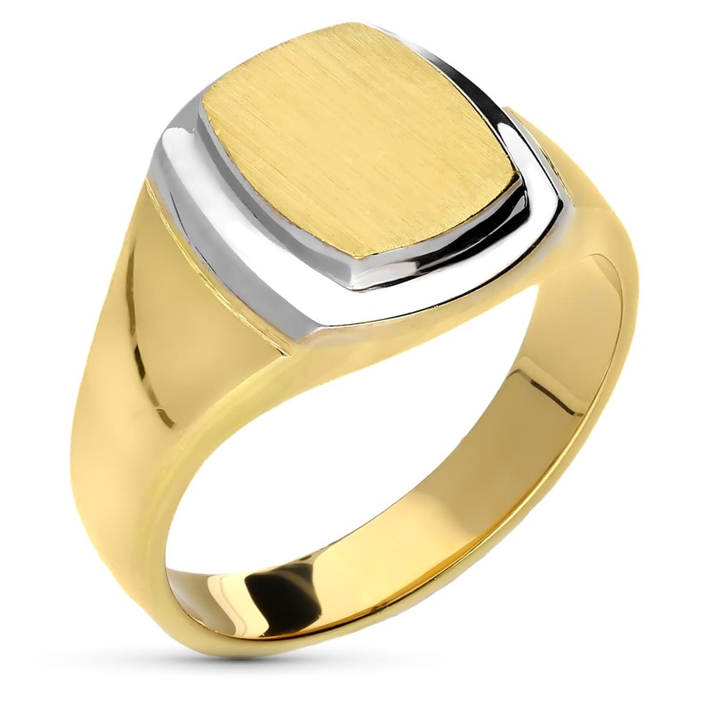 18K SELLO CABALLERO ORO BICOLOR RECTANGULAR
