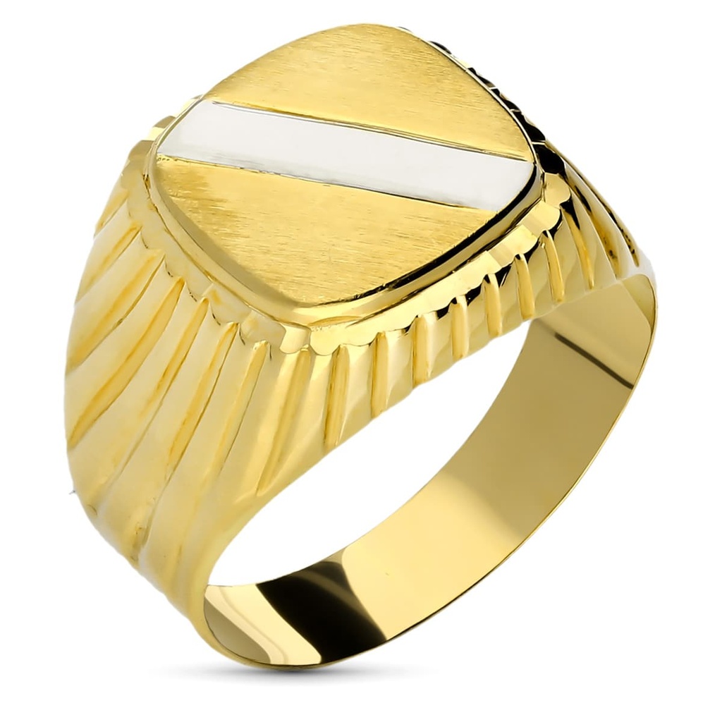 18K SELLO CABALLERO ORO BICOLOR BANDA HUECO.
