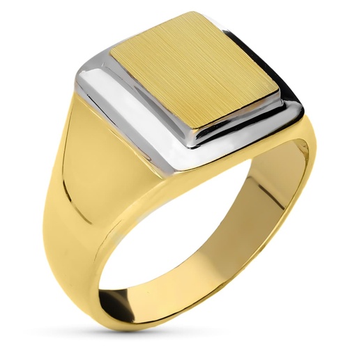 [P07000029] 18K SELLO CABALLERO ORO BICOLOR CUADRADO