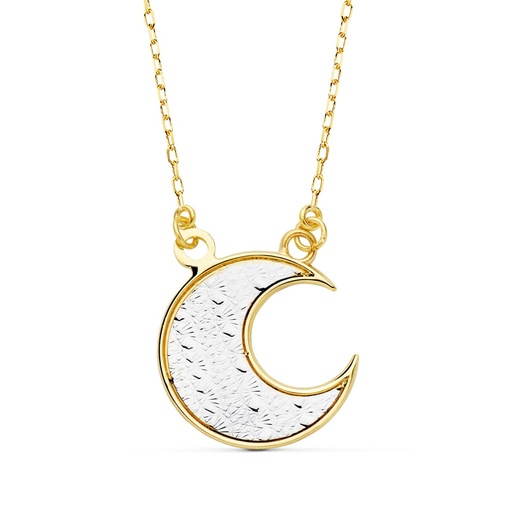[P16924] 18K GARGANTILLA BICOLOR LUNA 14X14 MM