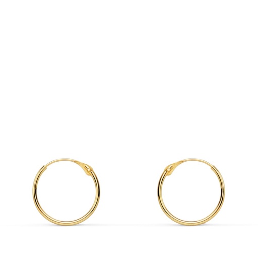 [P18030] 18K AROS ORO AMARILLO TUBO HUECOS 10X0.8 MM