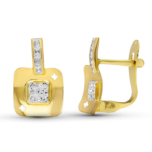 [P20588-1] 18K PENDIENTES BICOLOR CIRCONITAS 12X8 MM