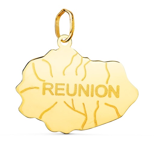[P22203] 18K PENDENTIF OR JAUNE ILE REUNION 18 X 22 MM