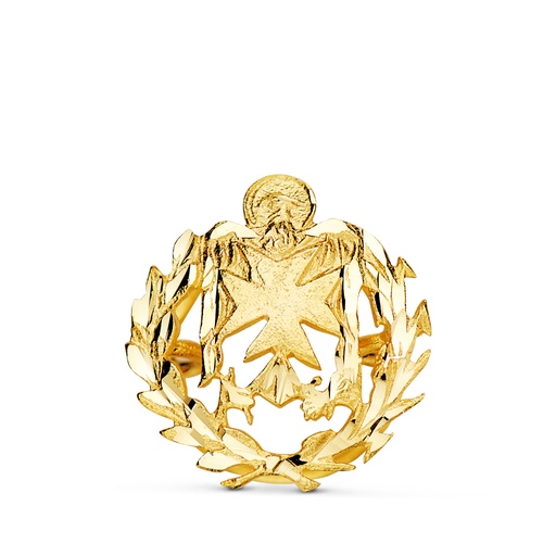 [P8580-ENF] 18K INSIGNIA ORO AMARILLO ENFERMERIA  17 X 15 MM