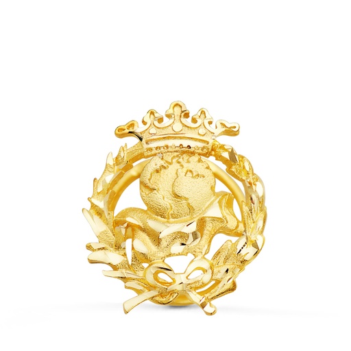 [P8580-GEO] 18K INSIGNIA ORO AMARILLO GEOGRAFIA 17 X 14 MM