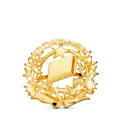 [P8580-NOT] 18K INSIGNIA ORO AMARILLO NOTARIO. 16 X 16 MM
