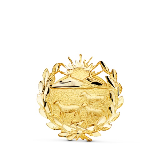 [P8580-VET] 18K INSIGNIA ORO AMARILLO VETERINARIA. 15 X 15 MM
