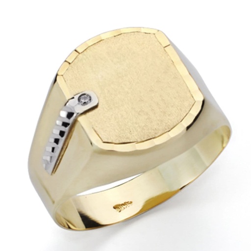 [P9K19204] 9K SELLO CABALLERO ORO BICOLOR HUECO CON CABEZA MATIZADA CABEZA 14X13 MM
