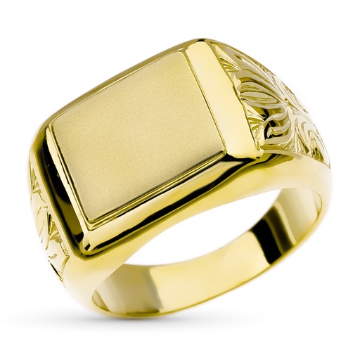 [PP4251] 18K SELLO ORO AMARILLO CABALLERO 16X19 MM