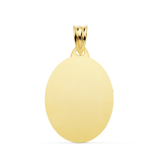 [PP6466-023] 18K CHAPA OVAL BRILLO 23X18 MM